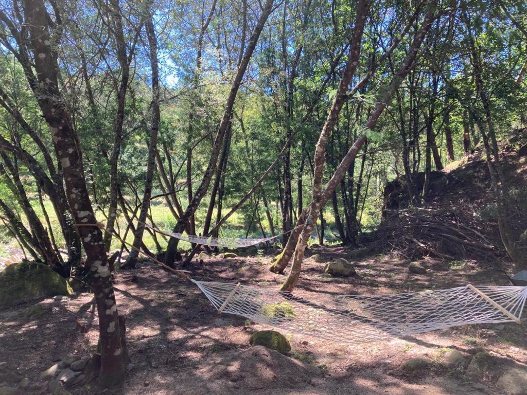 Casa Da Ribeira Do Círio * Seia