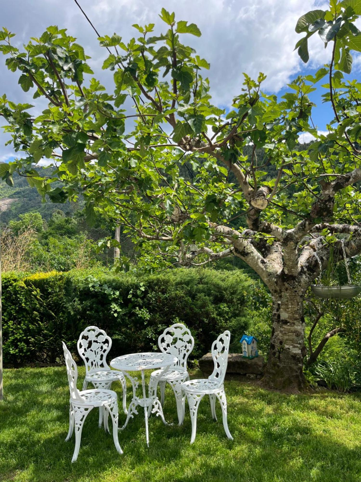 Casa Da Ribeira Do Cirio * Seia