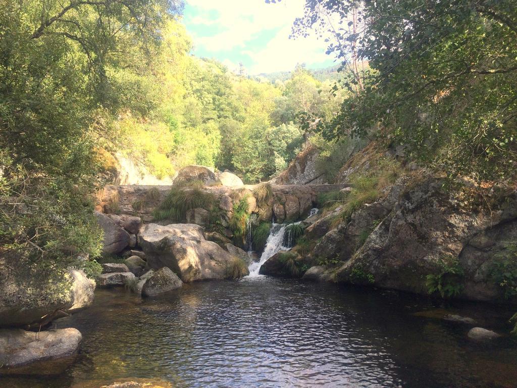 Casa Da Ribeira Do Cirio *